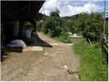 Ljubno ob Savinji - Planina Mali Travnik